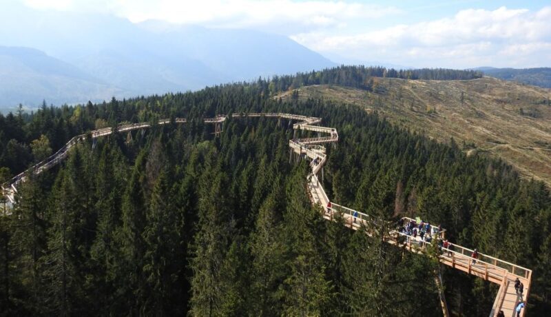 From Kraków: Slovakia Treetop Walk and Thermal Baths - An In-Depth Look at the Tour