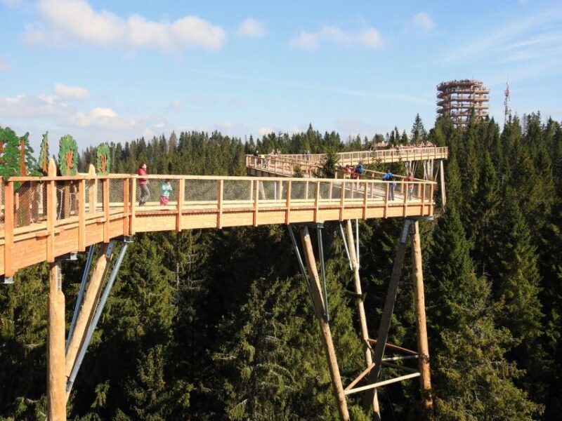 From Kraków: Slovakia Treetop Walk and Thermal Baths - Final Thoughts