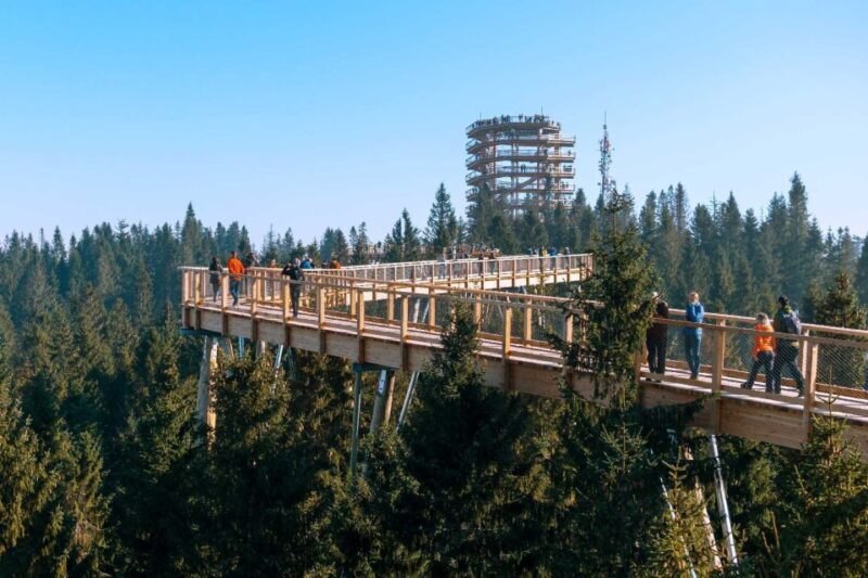 From Kraków: Slovakia Treetop Walk and Tour of Zakopane - In-Depth Overview: What to Expect and Why It Matters