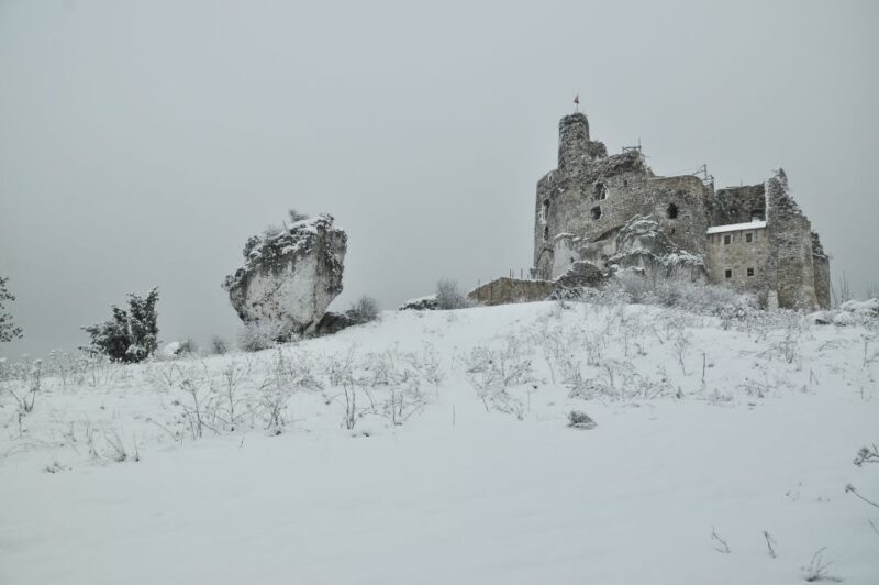 From Krakow: Trail of the Eagles Nests Day Tour - FAQ