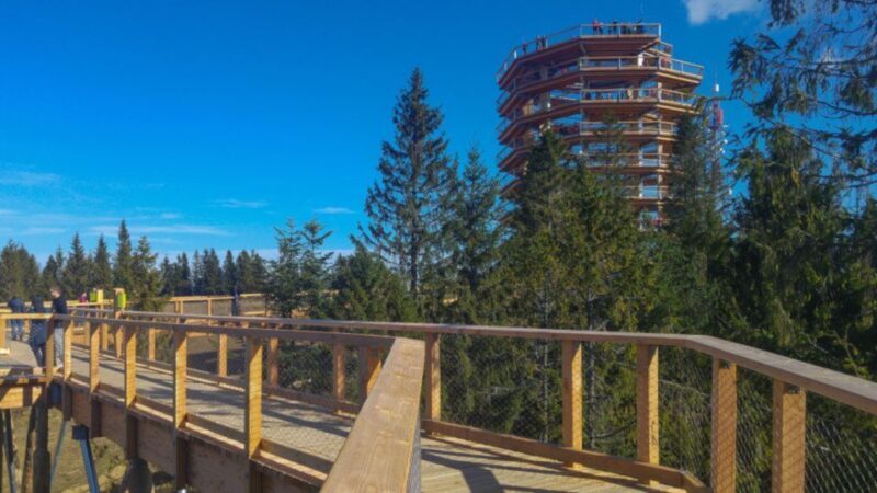 From Krakow: Treetop Walk in Slovakia and Thermal Baths Tour - Who Should Consider This Tour?