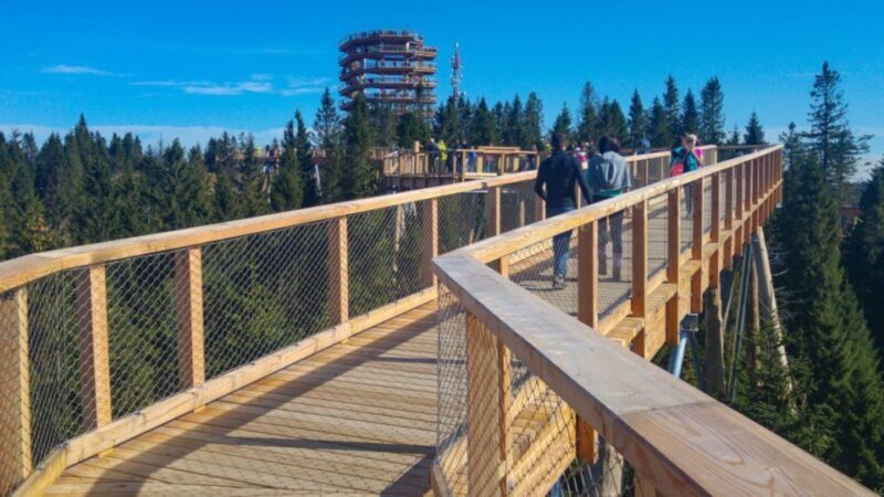 From Krakow: Treetop Walk in Slovakia and Thermal Baths Tour - Final Thoughts