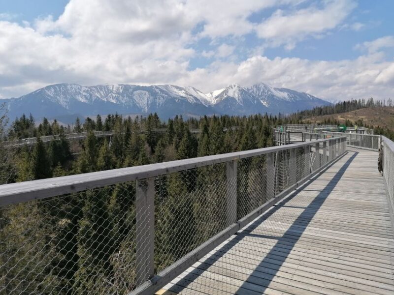 From Krakow: Treetop Walk & Zakopane Visit Small Group Tour - Key Points
