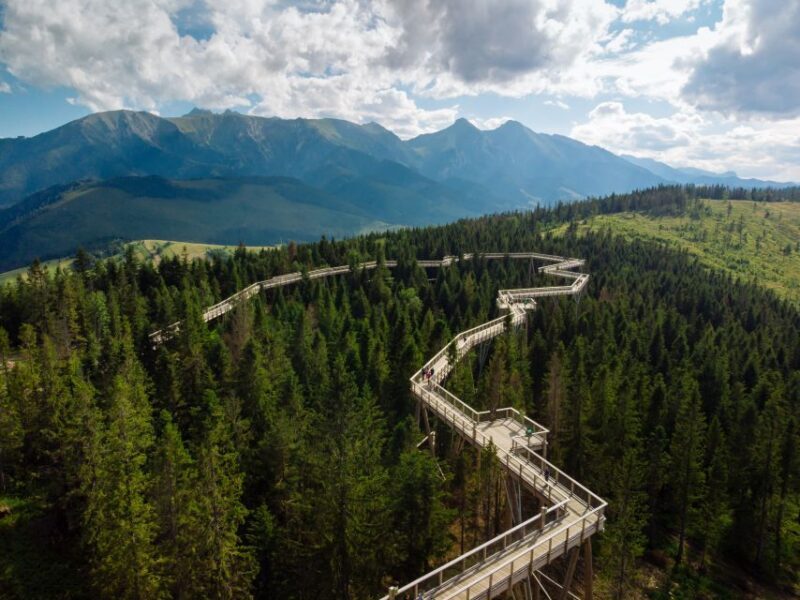 From Krakow: Treetop Walk & Zakopane Visit Small Group Tour - An In-Depth Look at the Tour Experience