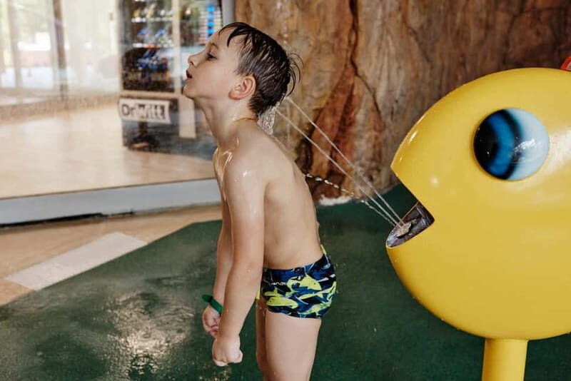 From Krakow: Tropical pools Binkowski Resort - A Closer Look at the Experience