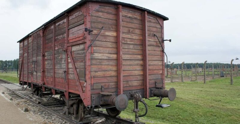 From Krakow: Wieliczka Salt Mine & Auschwitz Guided Trip - Who Is This Tour Best For?