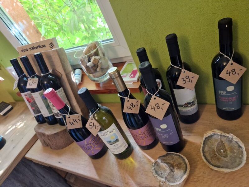 From Krakow: Wine Tasting at Vineyard - Final Thoughts