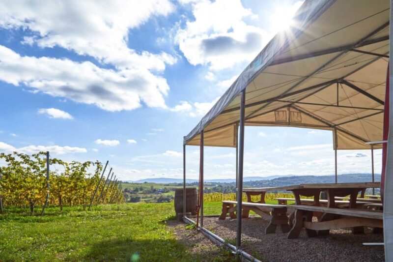 From Krakow: Wine Tasting at Vineyard - FAQ