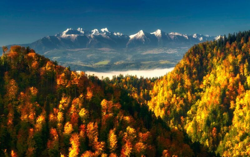 From Kraków: Witów Skiing and Zakopane Tour - The Sum Up