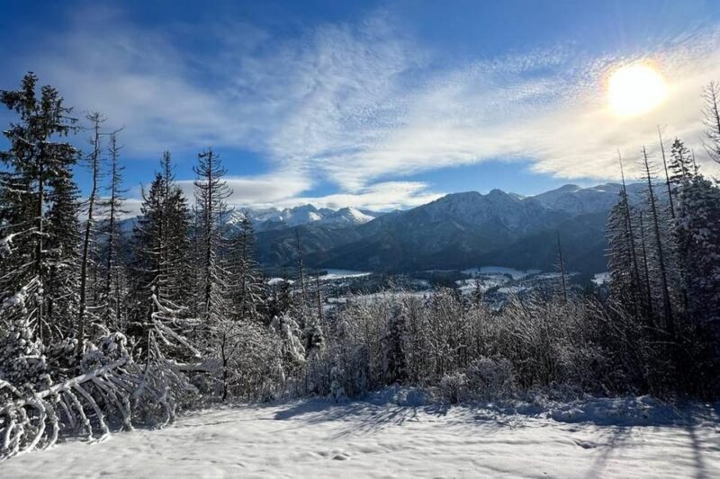 From Krakow: Zakopane Day Trip with Funicular & Food Tasting - Key Points