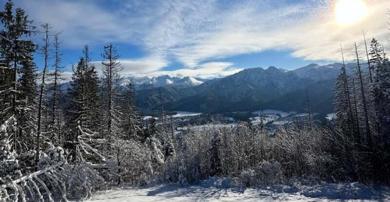From Krakow: Zakopane Day Trip with Funicular & Food Tasting - Who Would Enjoy This Tour?