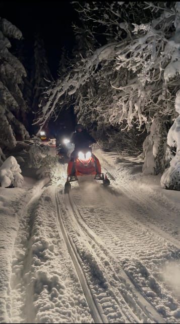 From Krakow: Zakopane Snowmobile NIGHT Ride, Bonfire, - Key Points