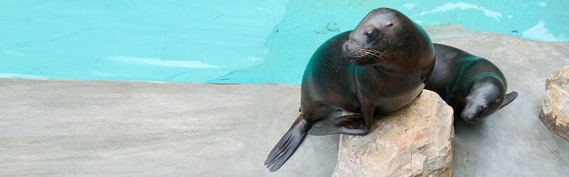 From Krakow: Zoo Trip with Private Luxury Transfer - Who Should Consider This Tour?