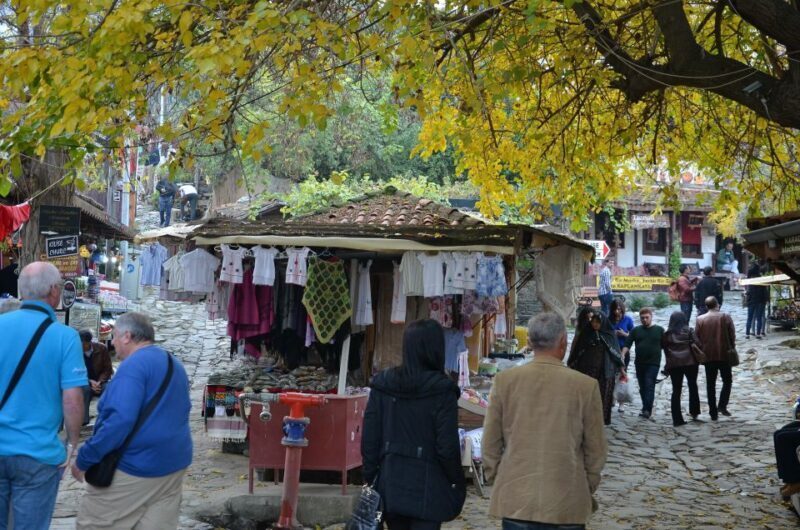From Kusadasi: Sirince Village and Ephesus Tour - Who Should Consider This Tour