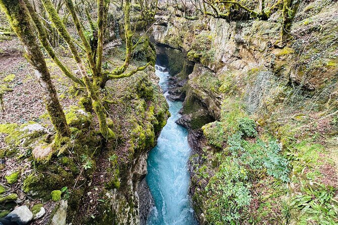 From Kutaisi: Canyons and Caves Tour with Transfer to Tbilisi - Final Thoughts: Who’s This Tour For?