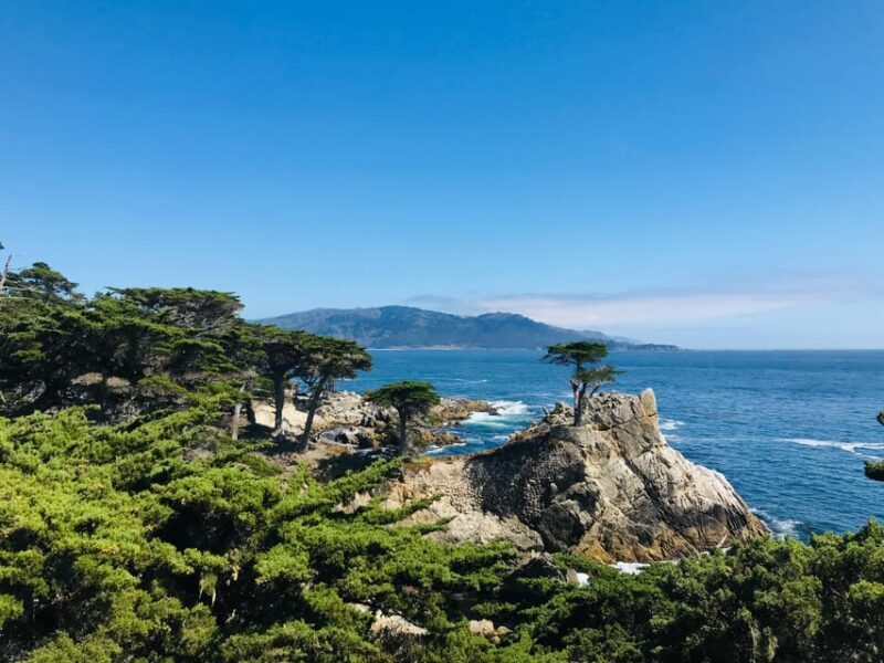 From LA: 3-Day San Francisco and Yosemite Tour Small Group - Who Is This Tour Best For?
