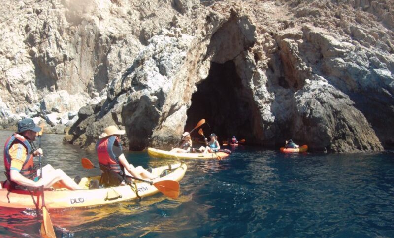 From La Herradura: Maro Cerro Gordo Kayak Tour - Diving Into the Experience: What to Expect