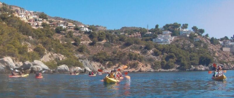 From La Herradura: Maro Cerro Gordo Kayak Tour - Practical Tips for a Smooth Experience