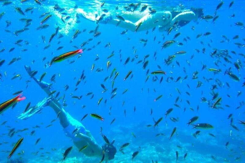 From La Paz: Espiritu Santo Island Adventure - Setting the Scene: What Does the Tour Involve?