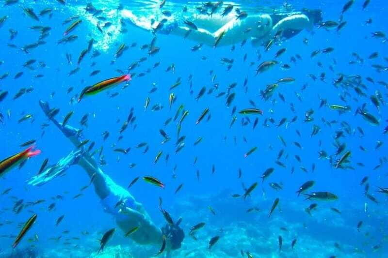 From La Paz: Whale Sharks, Sea Lions & Balandra Beach Combo - Who Should Consider This Tour?