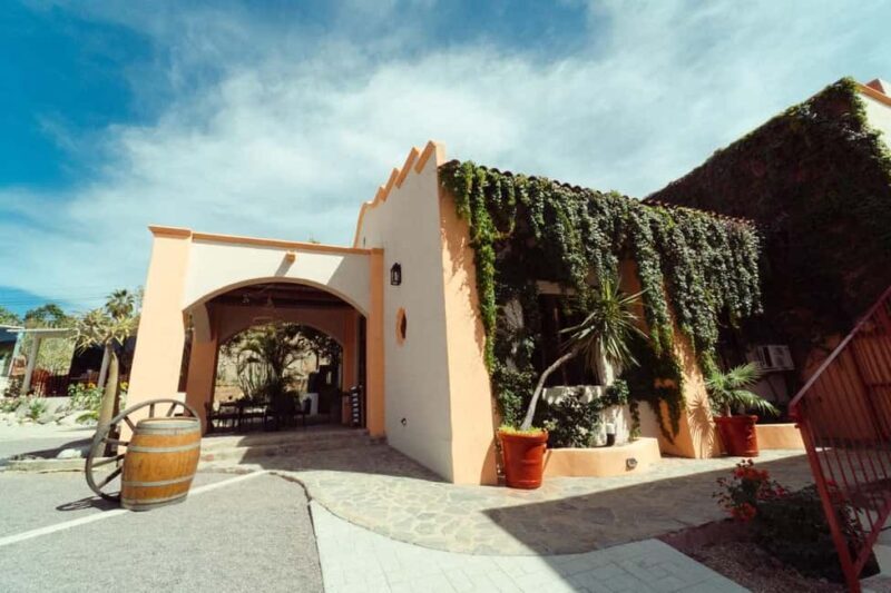 From La Playa: Vineyard Tour w/ Tasting & Todos Santos Stop - The Todos Santos Stop: A Taste of Artistic Baja
