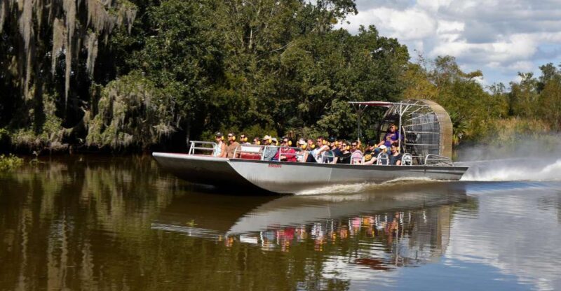 From Lafitte: Swamp Tours South of New Orleans by Airboat - Final Thoughts