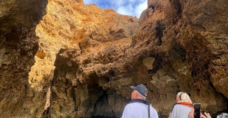 From Lagoa: Dolphins & Ponta da Piedade with biologist guide - Who Will Love This Tour?