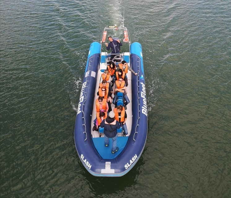 From Lagos: Dolphin Watching Boat Trip w/ Marine Biologists - FAQ Section