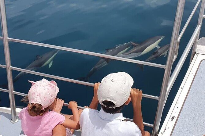 From Lagos: Dolphin Watching Cruise on a Catamaran - From Lagos: Dolphin Watching Cruise on a Catamaran — An Authentic Marine Adventure