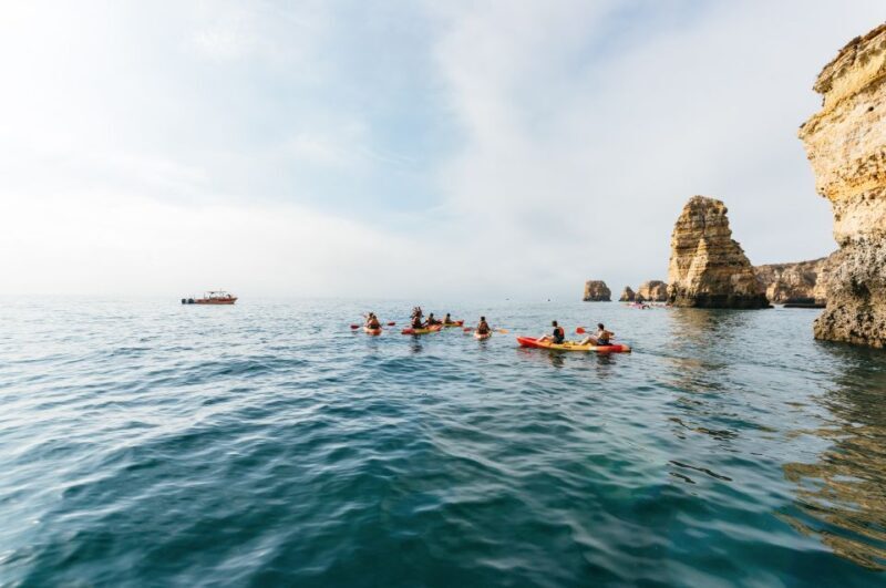 From Lagos: Explore Ponta da Piedade Sea Caves by Kayak - Authentic Insights from Reviewers