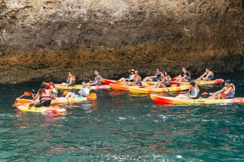 From Lagos: Explore Ponta da Piedade Sea Caves by Kayak - Who Will Love This Tour?