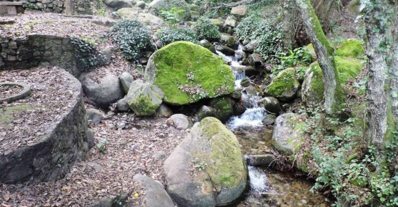 From Lagos: Monchique Private Guided Hike + Medronho Tasting - Final Thoughts