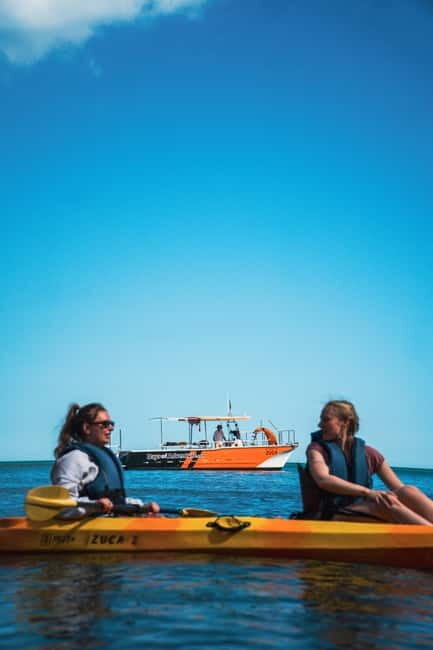 From Lagos: Ponta da Piedade Caves Kayak Tour from Catamaran - A Deep Dive into the Tour Experience