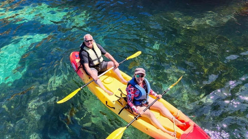 From Lagos: Ponta da Piedade Caves Kayak Tour from Catamaran - Authentic Tips from Reviewers