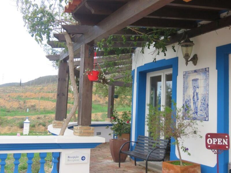 From Lagos: Private Algarve Wineries Tour with Tastings - The Sum Up