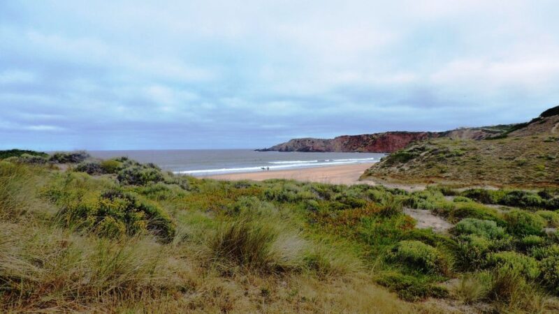From Lagos: Private Guided Hike along the Vicentina Coast - Key Points