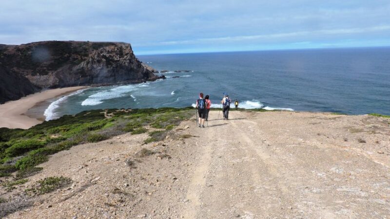 From Lagos: Private Guided Hike along the Vicentina Coast - An In-Depth Look at the Experience