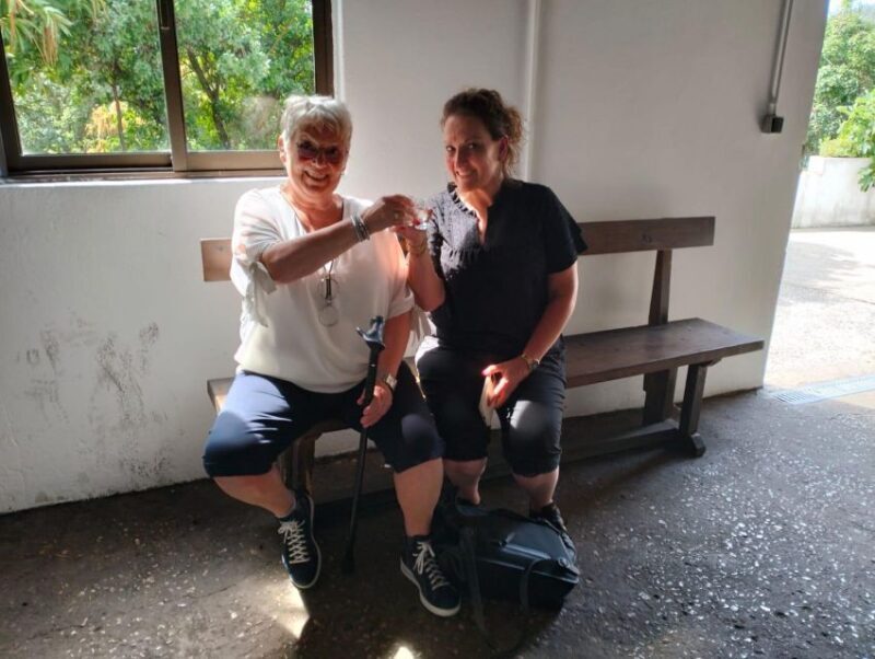 From Lagos: Private Tour with Medronho Tasting - Key Points