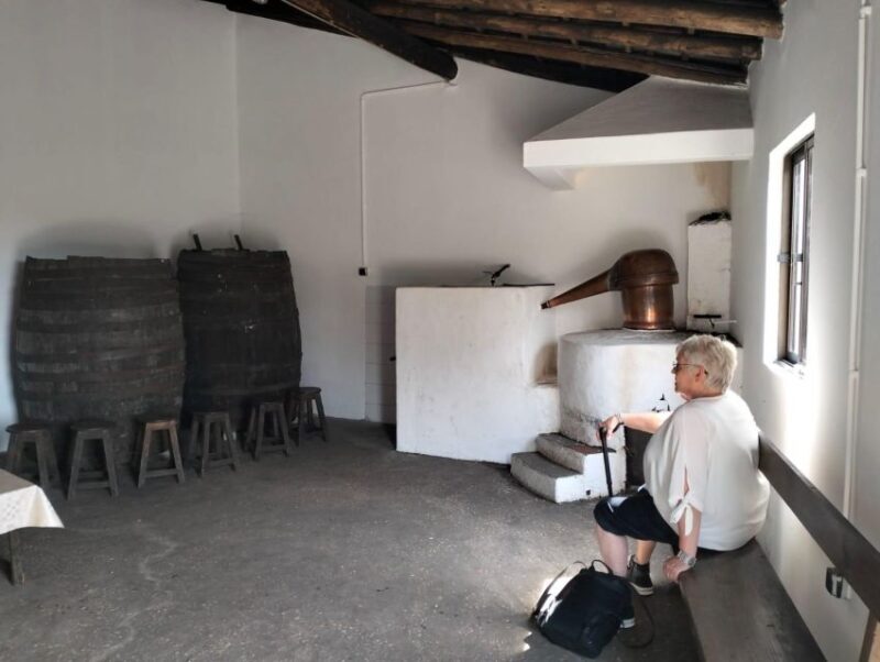 From Lagos: Private Tour with Medronho Tasting - A Detailed Look at the Monchique Private Tour