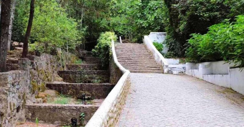 From Lagos: Private Tour with Medronho Tasting - Who Will Love This Tour?