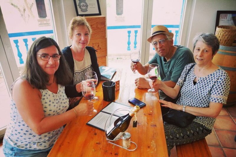 From Lagos: Small-Group 4-Hour Wine Tasting Tour - Final Thoughts: Who Will Love This Tour?