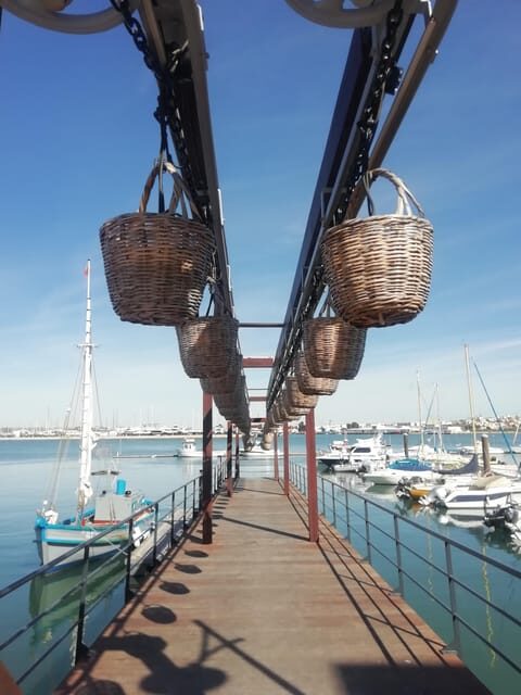 From Lagos: Tinned Sardine Route (Private) - Who Should Consider This Experience?