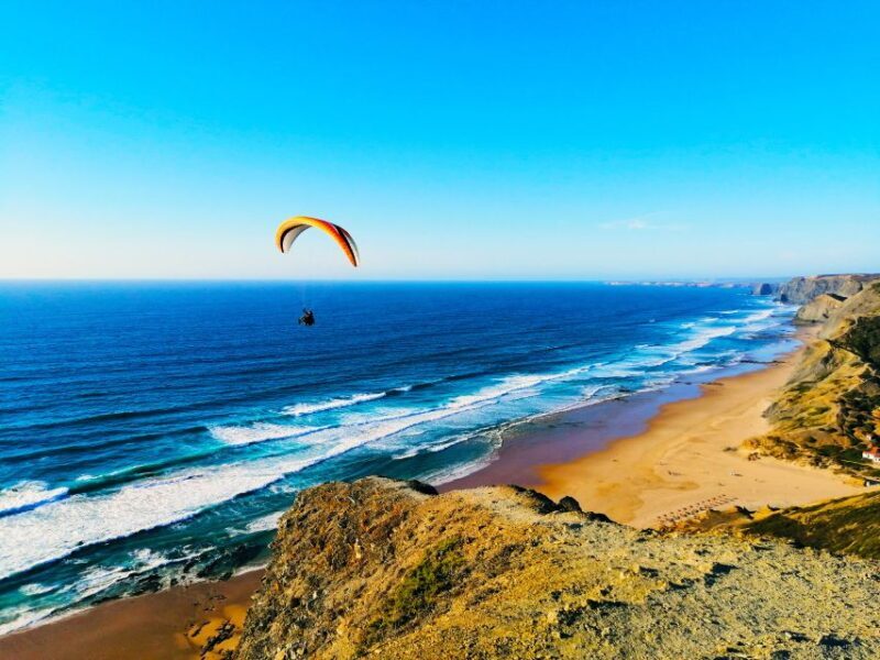 From Lagos: Wild and Wonderful West Coast Full-Day Tour - Who Is This Tour Best For?