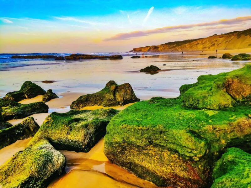 From Lagos: Wild and Wonderful West Coast Full-Day Tour - FAQ