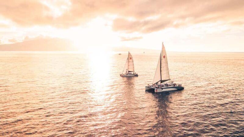 From Lahaina: Golden Hour Whale Watch aboard Alihilani - Who Will Love This Tour?