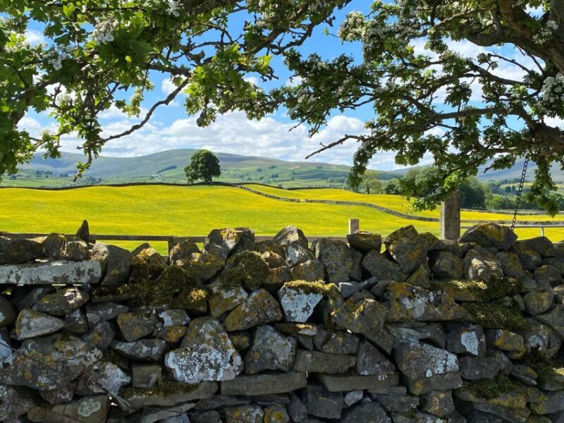 From Lake District: Full-Day Yorkshire Dales Tour - A Well-Balanced Look at the Yorkshire Dales Tour