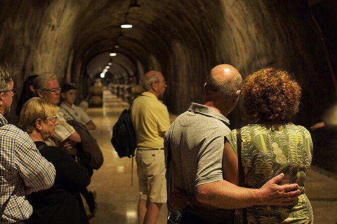 From Lake Garda: Full-Day Valpolicella Wine and Lunch Guided Trip - An Important Introduction to the Tour