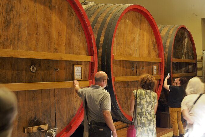 From Lake Garda: Full-Day Valpolicella Wine and Lunch Guided Trip - In-Depth Review: What You Can Expect