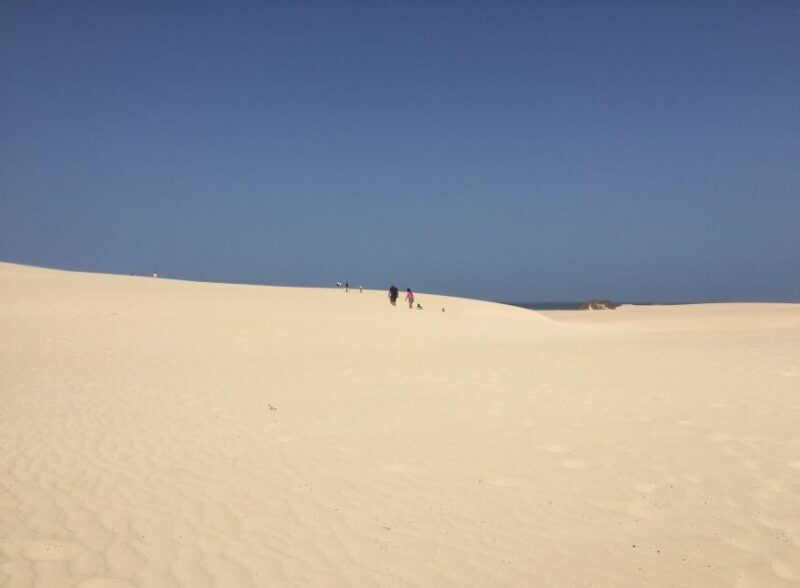 From Lanzarote: Fuerteventura Day Trip - Who Should Consider This Tour?