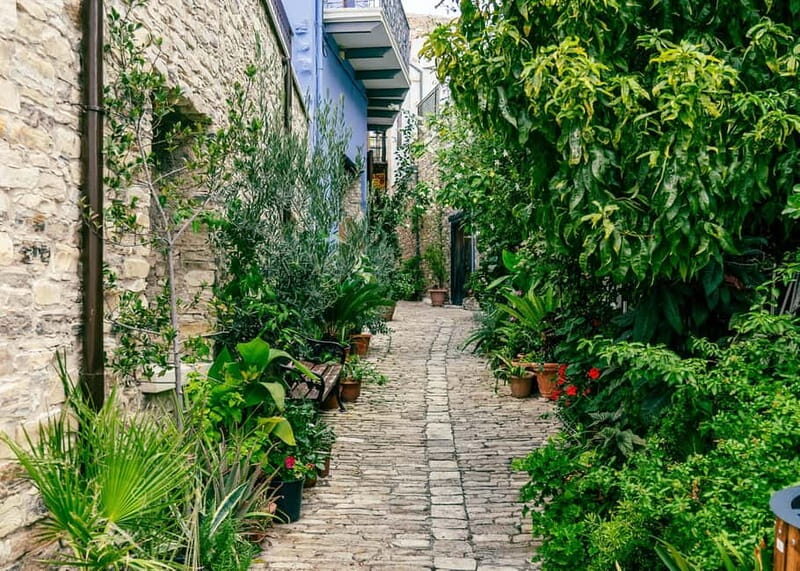 From Larnaca Bay: Grand Tour Jeep Safari - Who This Tour Is Best For